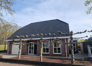 Dak coaten Halsteren