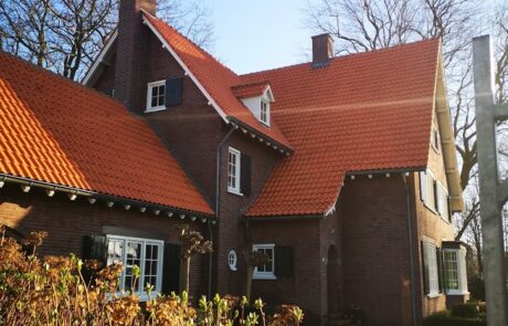Dak reinigen Klein-Zundert NA
