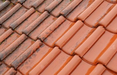 Dak schoonmaken Dordrecht