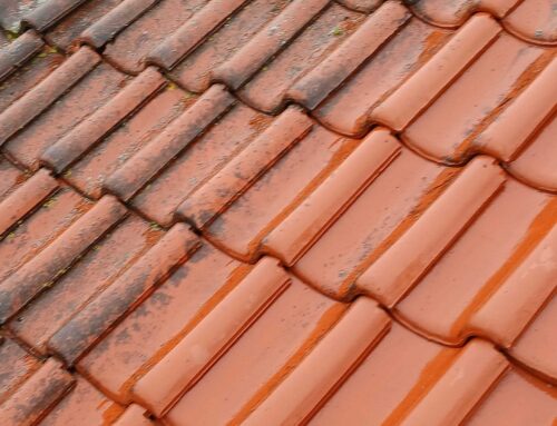 Dakpannen reinigen Dordrecht