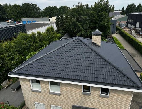 Dakpannen reinigen en coaten Meerle (België)