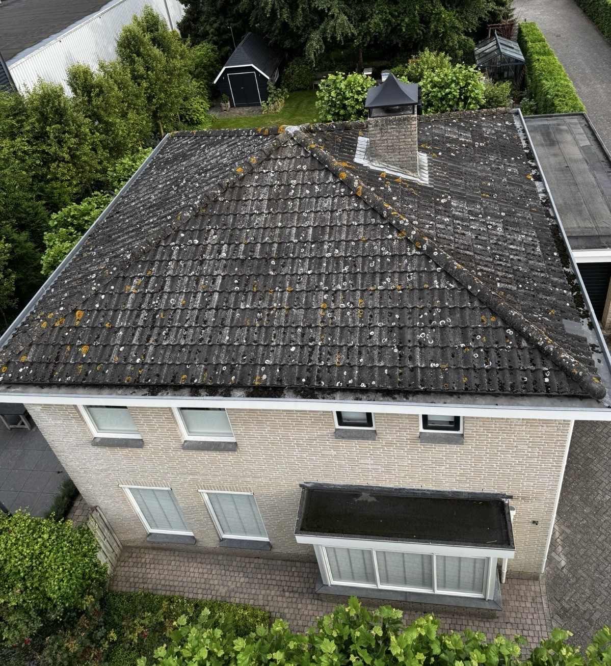 Dakpannen reinigen Meerle VOOR