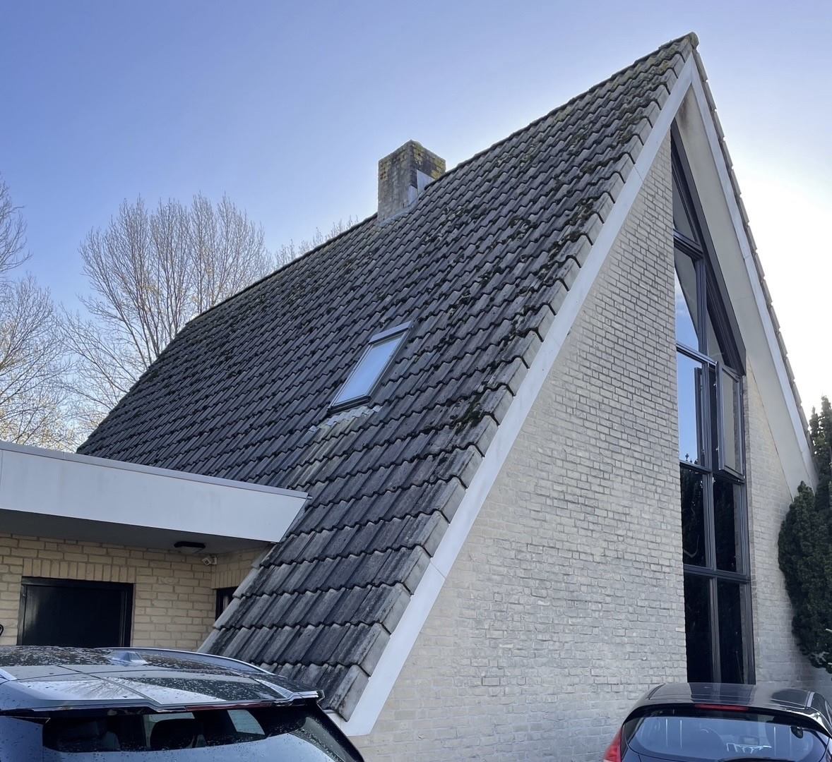 Dakpannen reinigen Zundert VOOR